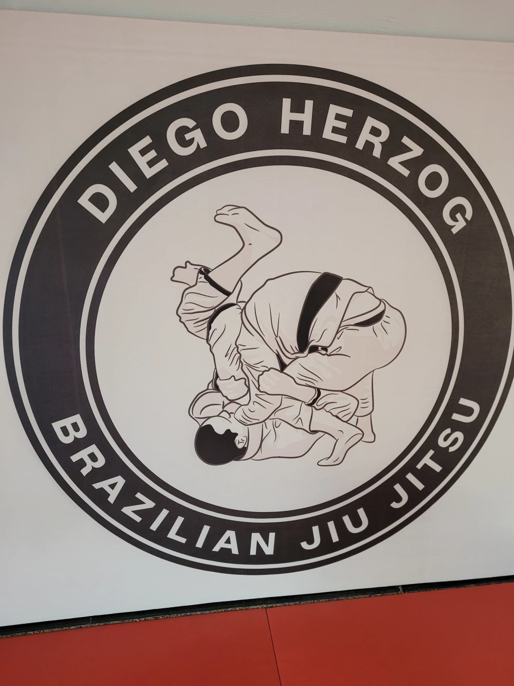 Diego Herzog Brazilian Jiu Jitsu