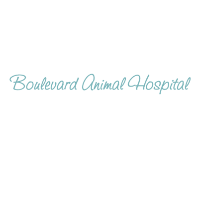 Boulevard Animal Hospital