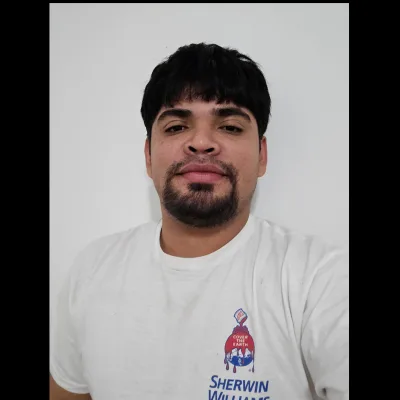 Lemus Painting Llc 