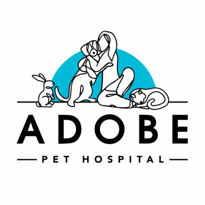 Adobe Pet Hospital