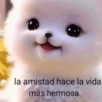 Luis 