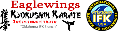 Eagle Wings Kyokushin Karate