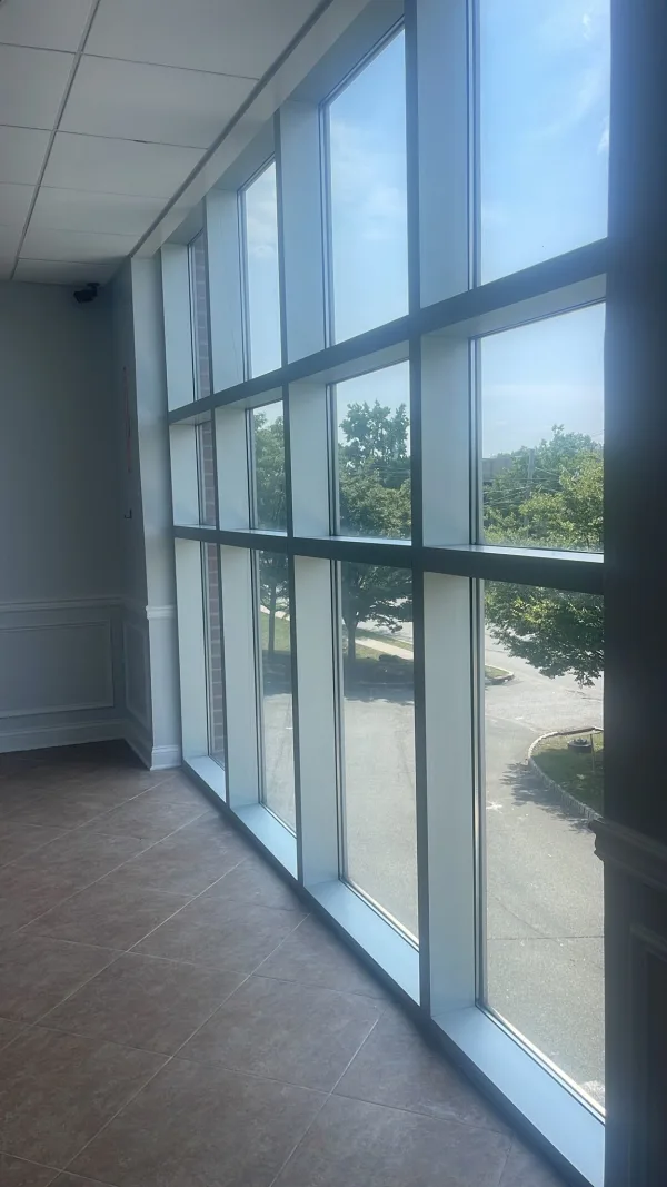 Glass Cleaning