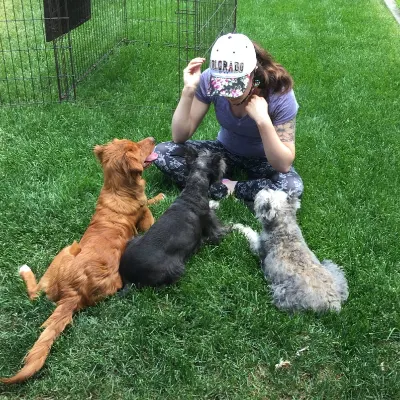 Primly Little Paws LLC