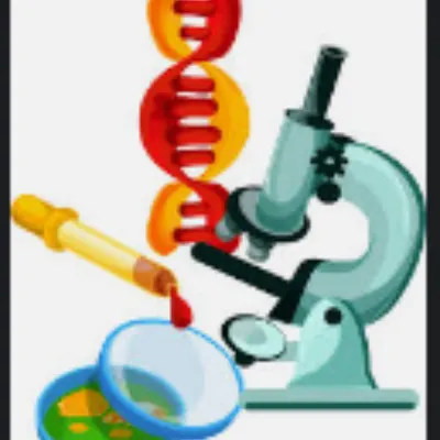Dr Kay