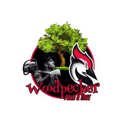 Woodpecker Palm And Tree Trimming
