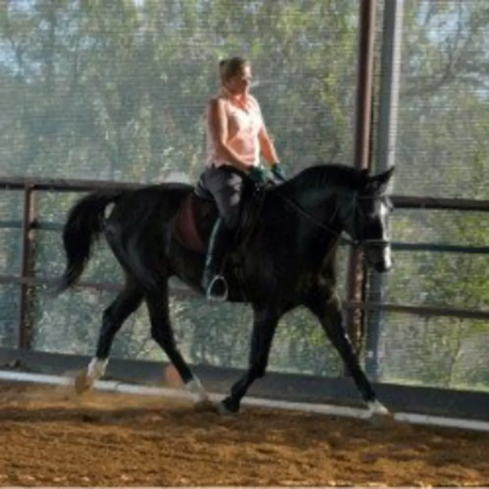 Adventures In Riding With Miss Julie