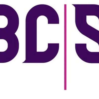Brotherson Cleaning Services