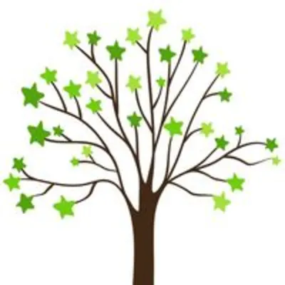 Star City Montessori