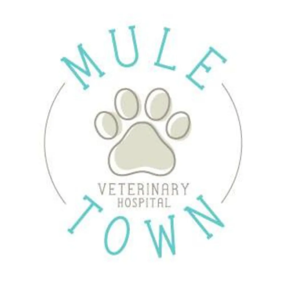 Mule Town Veterinary Hospital
