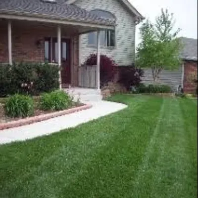 MLC Services- Meticulous Lawn Care