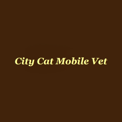 City Cat Veterinary Clinic