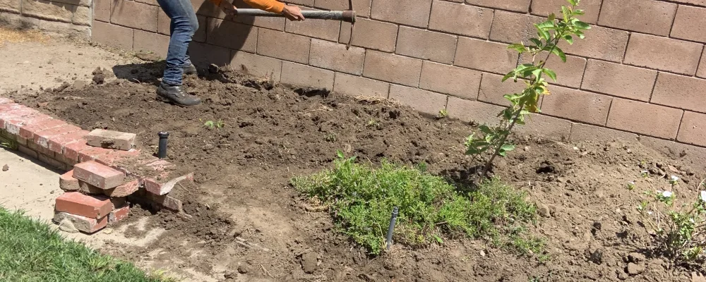 BC Landscape Service