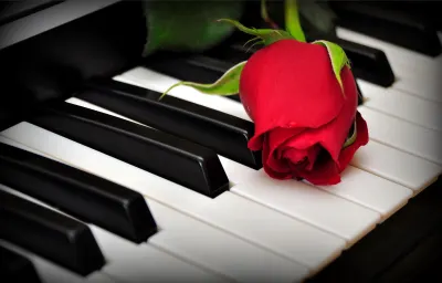 Piano By Lori