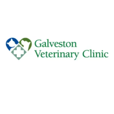 Galveston Veterinary Clinic