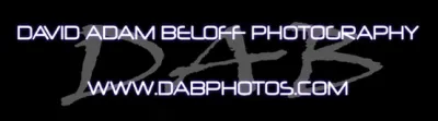David Adam Beloff Photography