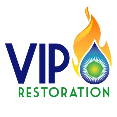 VIP RESTORATION INC