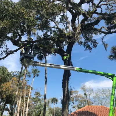 Duval Tractor And Tree Service