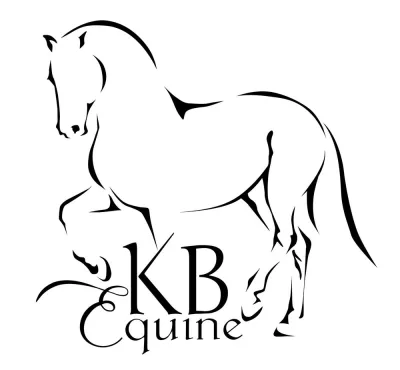 KB Equestrian Riding & Training Academy