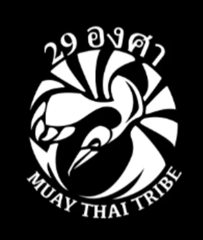 29 Degrees Of Gung Fu