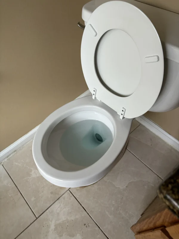 Fresh toilet bowl