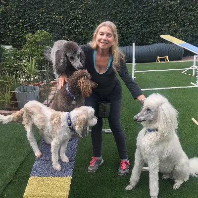 Care 4 Your Pet Dog Training/My Smart K9 Dog Sports