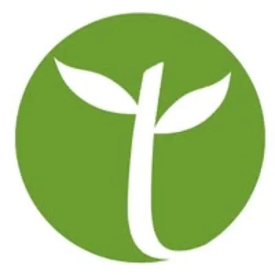 Little Tree Education