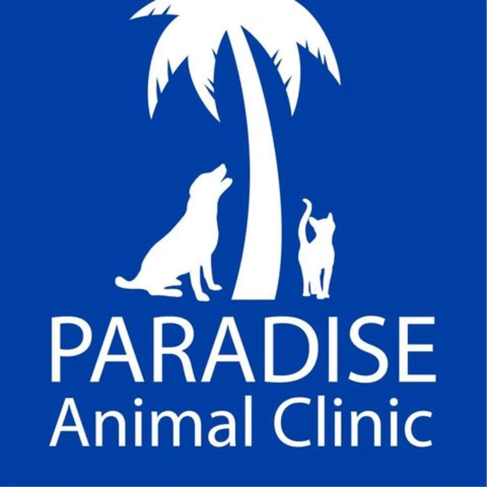 Paradise Animal Clinic Of Daytona