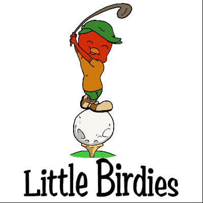 Little Birdies Mobile Golf Academy-