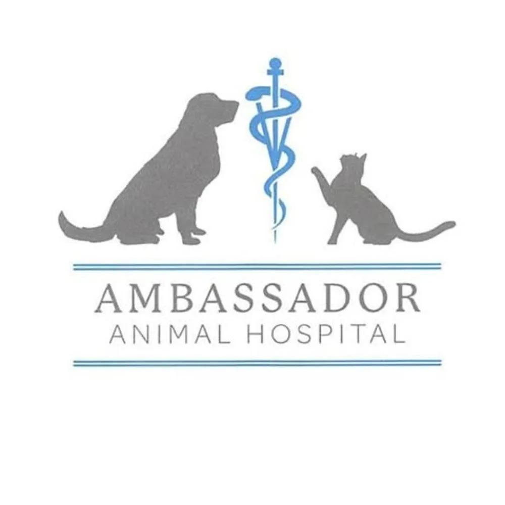 Ambassador Animal Hospital