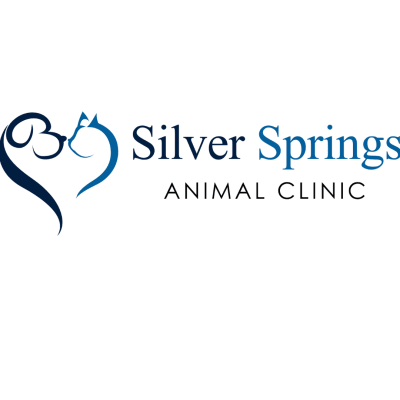 Silver Springs Animal Clinic