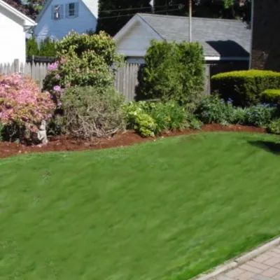 Wm Koons Mowing & Landscaping