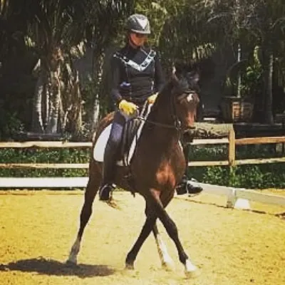 AP Dressage