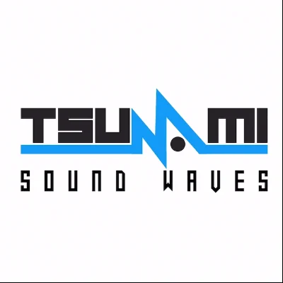 Tsunami Sound Waves DJ Service