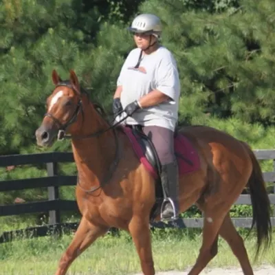 No Limits Dressage