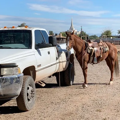 B & H Horse Training