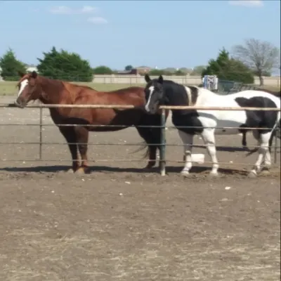 Gemini Farms