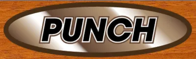 Punch Renovation And Construction LLC