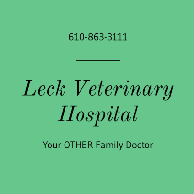 Leck Veterinary Hospital