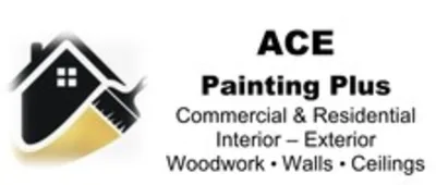 Ace Painting Plus