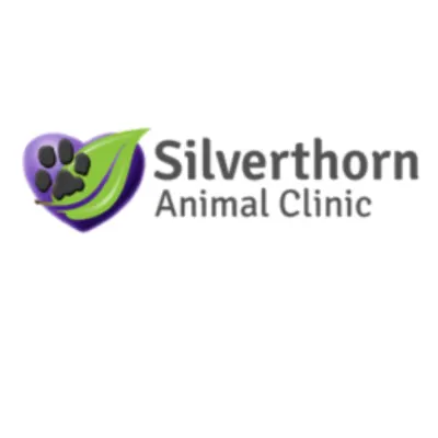 Silverthorn Animal Clinic