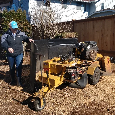 Sound Stump Removal