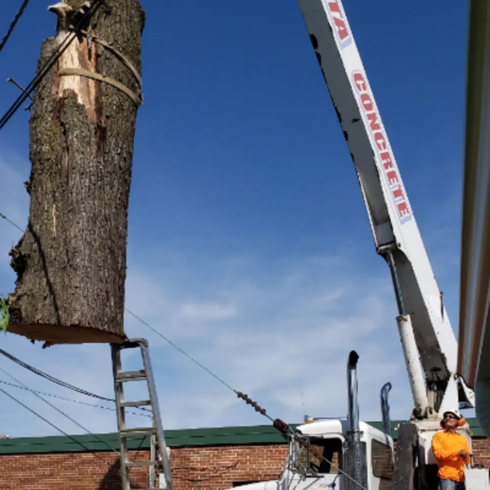 GERMAN'S TREE SERVICE'S INC