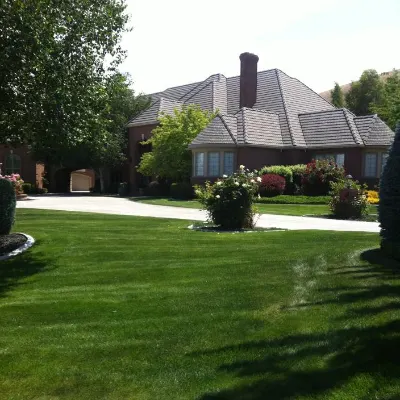 Albert Landscaping Maintenance