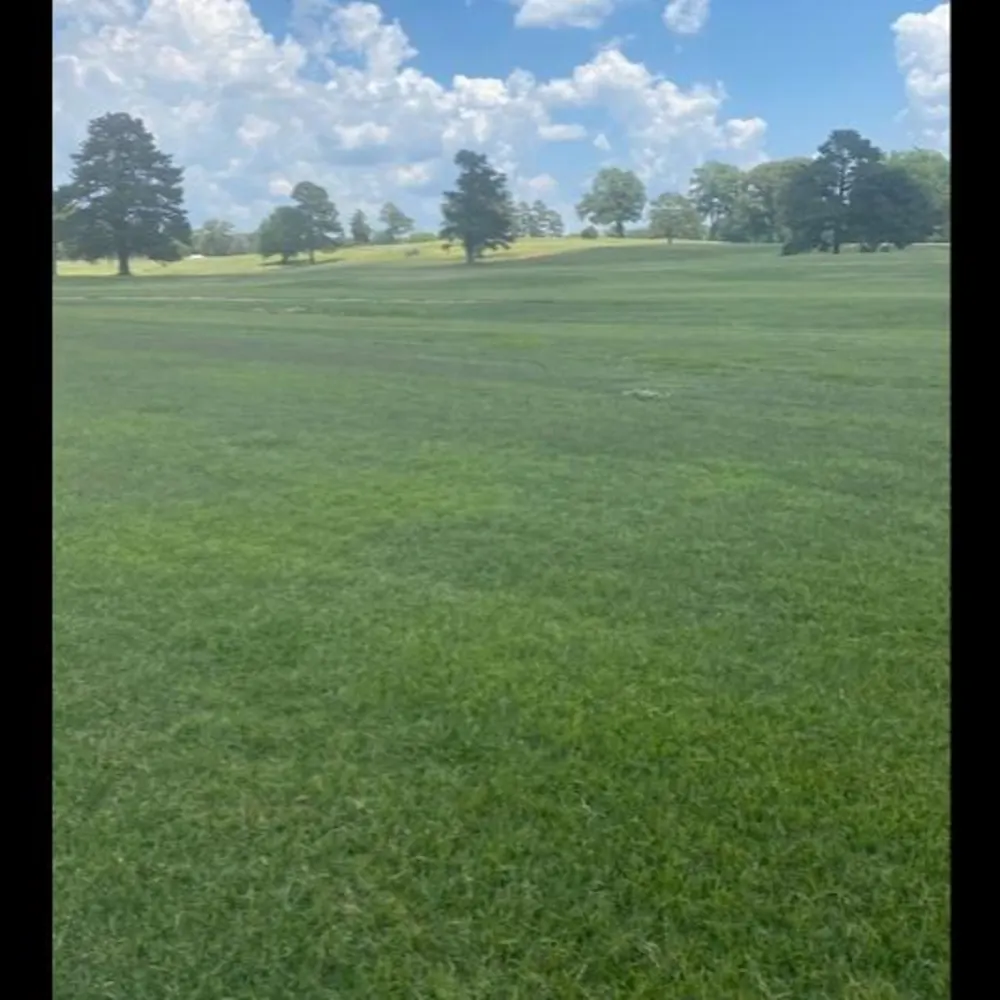 Play Better Golf