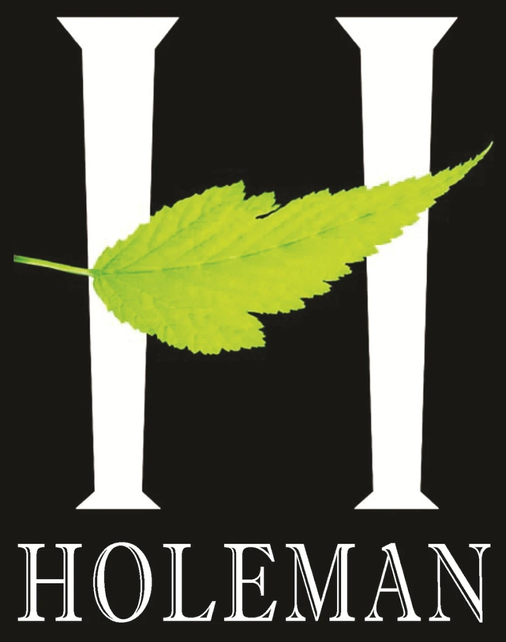 Mark M Holeman Inc