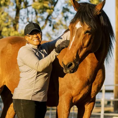My Horses And I