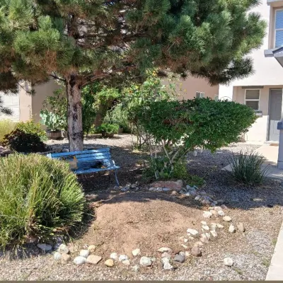 Seans Yard Work 