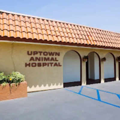 Uptown Animal Hospital