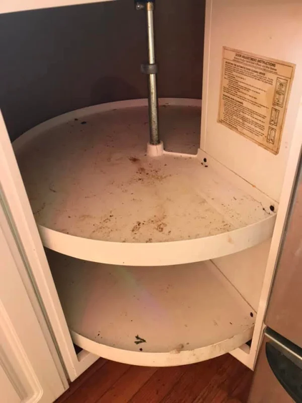 Before the clean